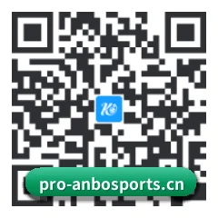 系统版 iOS 二维码