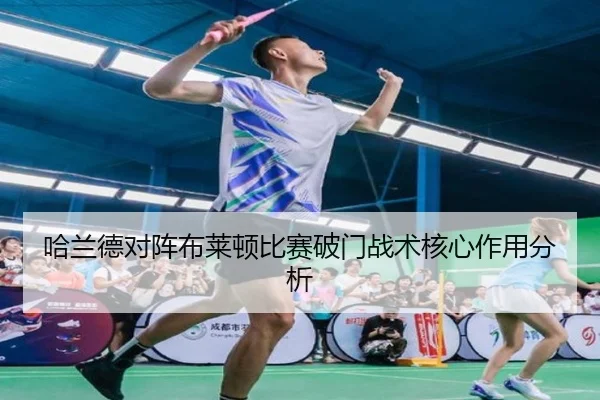 哈兰德对阵布莱顿比赛破门战术核心作用分析